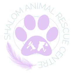 shalomanimalrescuecentre.com